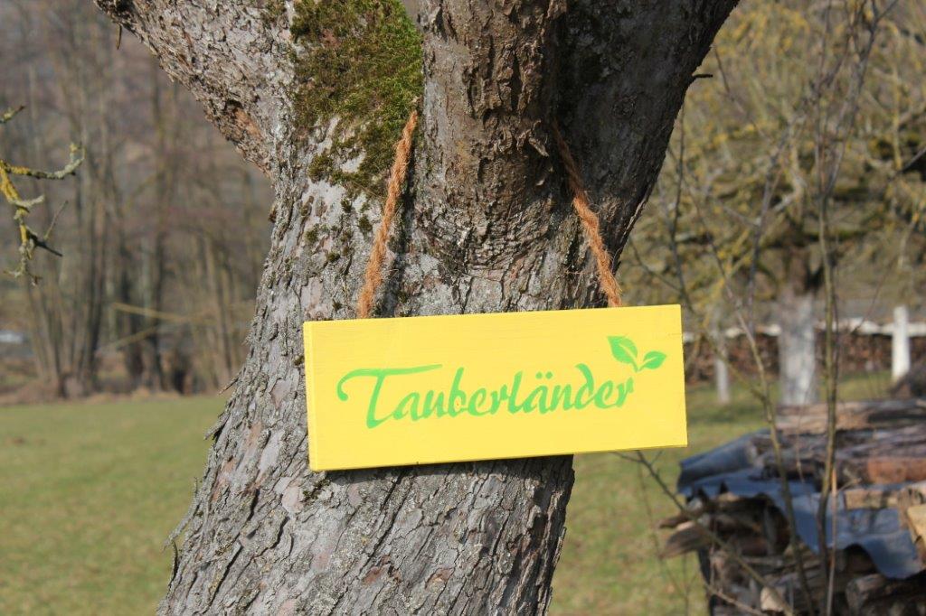 Tauberländer Schild an Baum